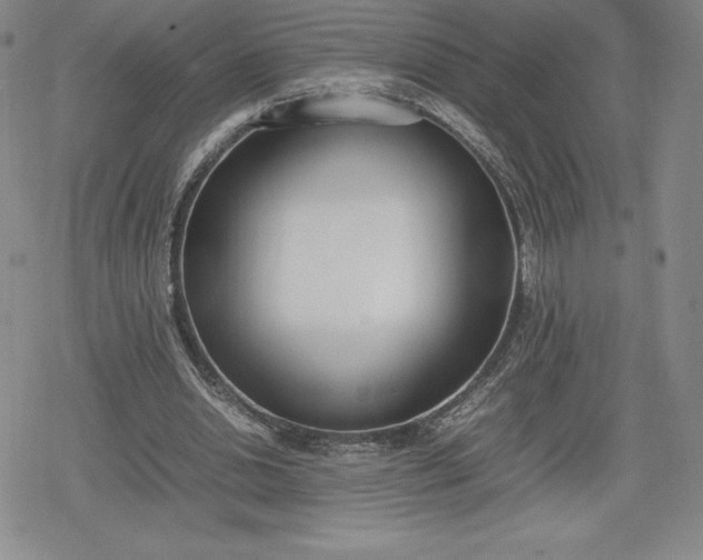 X0000080170438200612221255