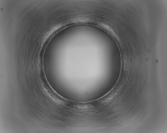 X0000080170439200612221255