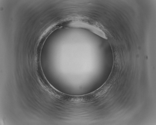 X0000080170440200612221255