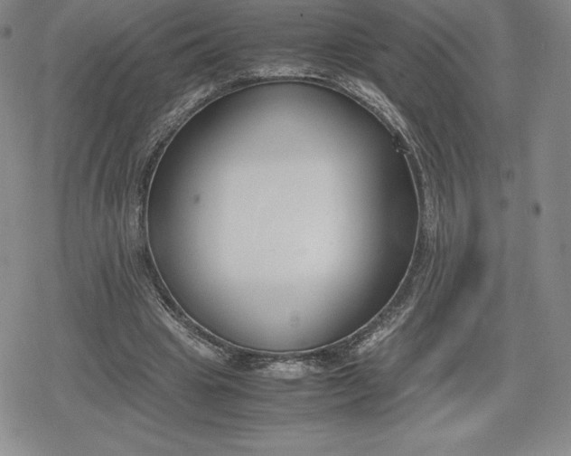 X0000080170441200612221255