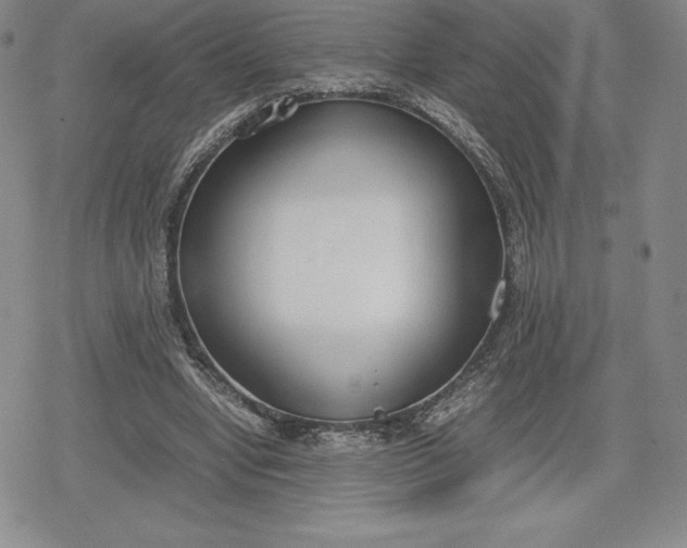 X0000080170442200612221255