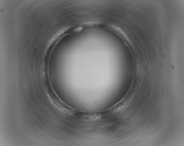 X0000080170443200612221255