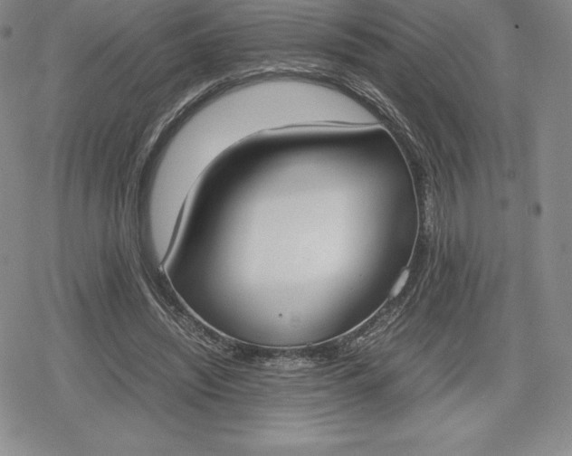 X0000080170444200612221255