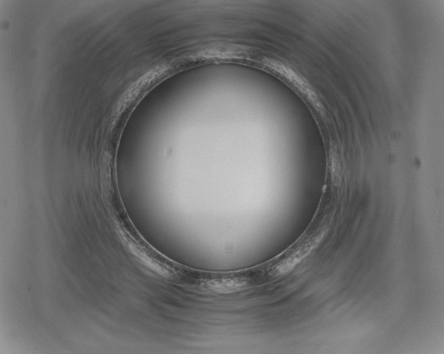 X0000080170445200612221255