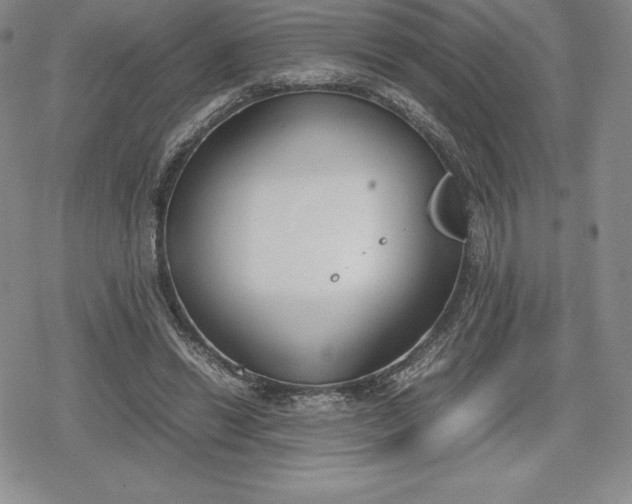 X0000080170446200612221255