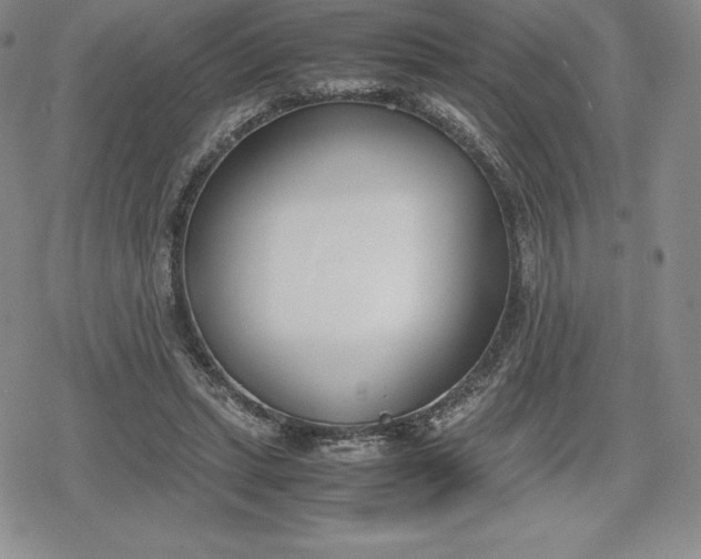 X0000080170447200612221255