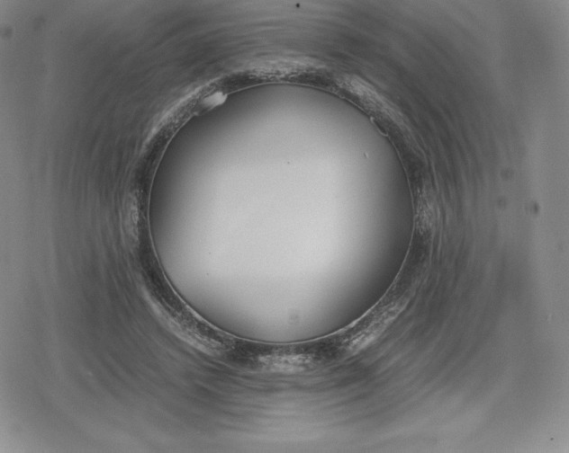 X0000080170448200612221255