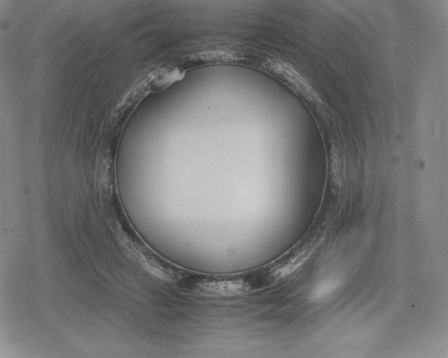 X0000080170449200612221255