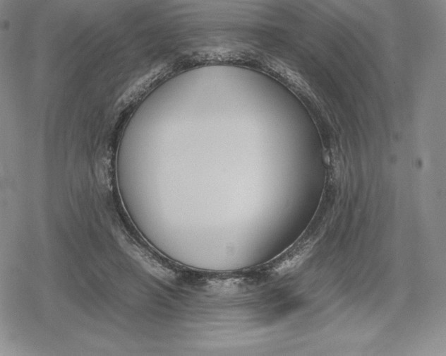 X0000080170450200612221255