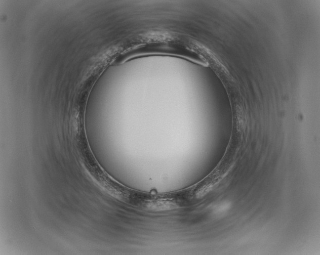 X0000080170451200612221255