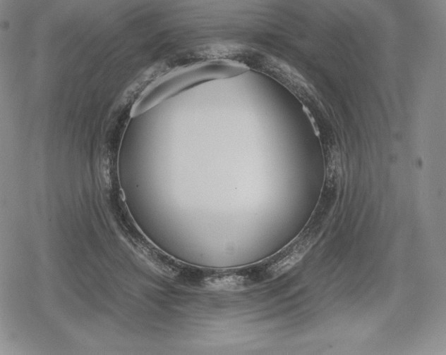 X0000080170452200612221255