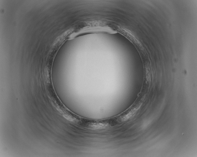 X0000080170453200612221255