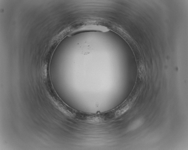 X0000080170454200612221255