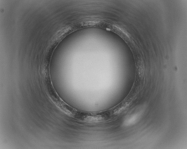 X0000080170455200612221255