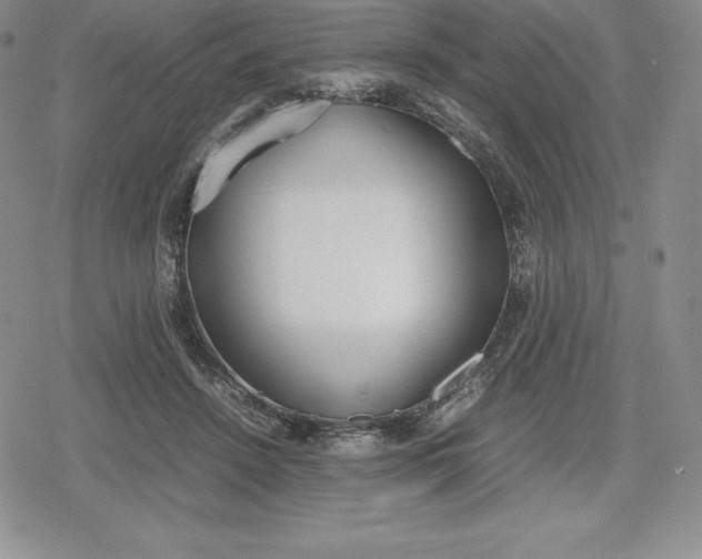 X0000080170456200612221255