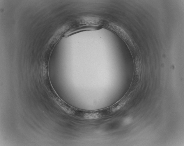 X0000080170457200612221255