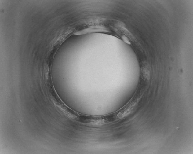 X0000080170458200612221255