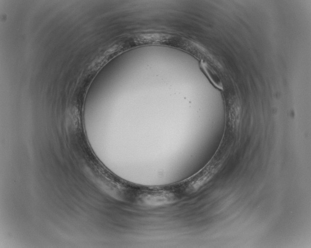 X0000080170459200612221255