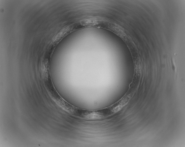 X0000080170460200612221255