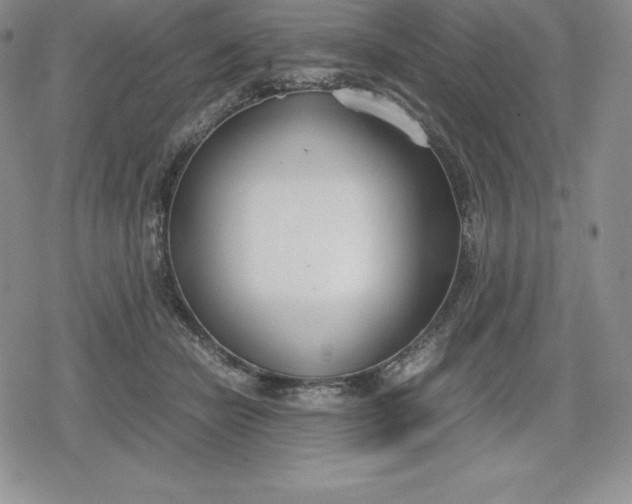 X0000080170462200612221255