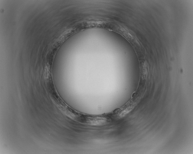 X0000080170463200612221255