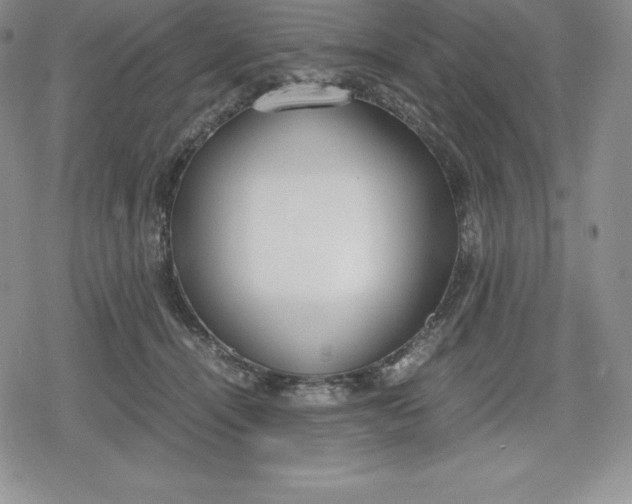 X0000080170464200612221255