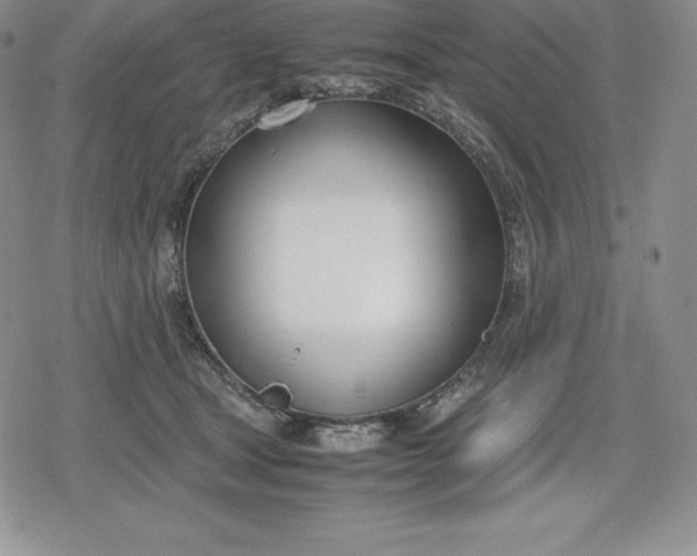 X0000080170465200612221255