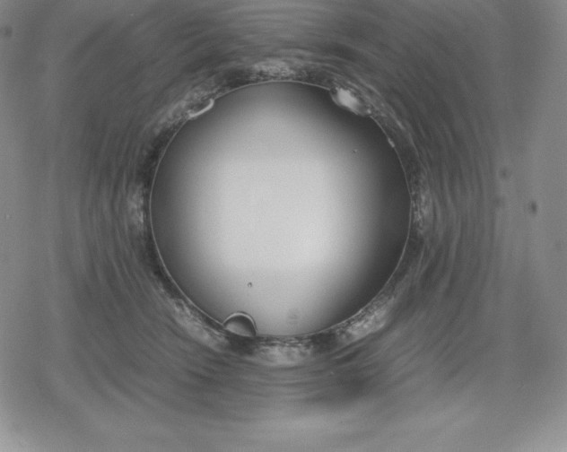 X0000080170466200612221255