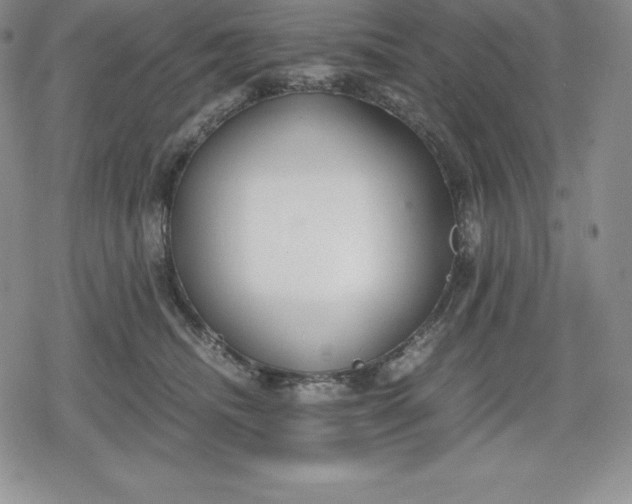 X0000080170468200612221255