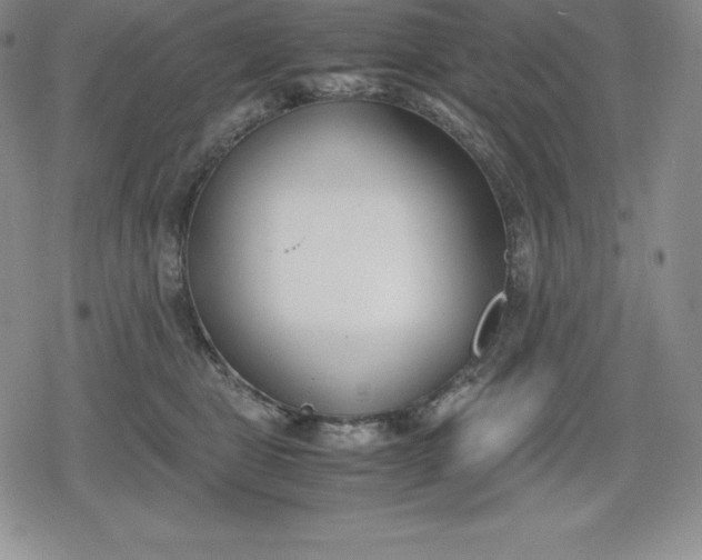 X0000080170469200612221255