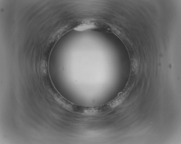 X0000080170470200612221255