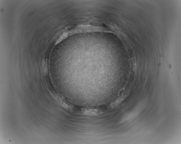 X0000080170471200612221255