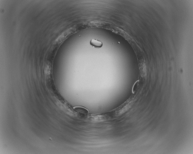 X0000080170472200612221255