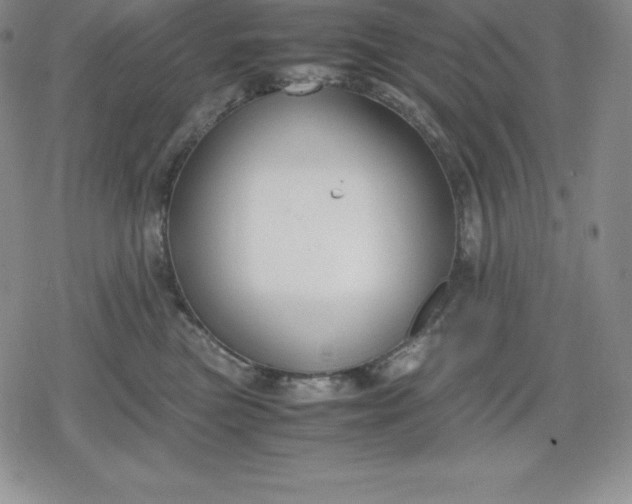 X0000080170473200612221255