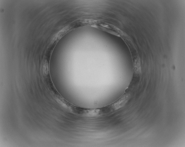 X0000080170474200612221255