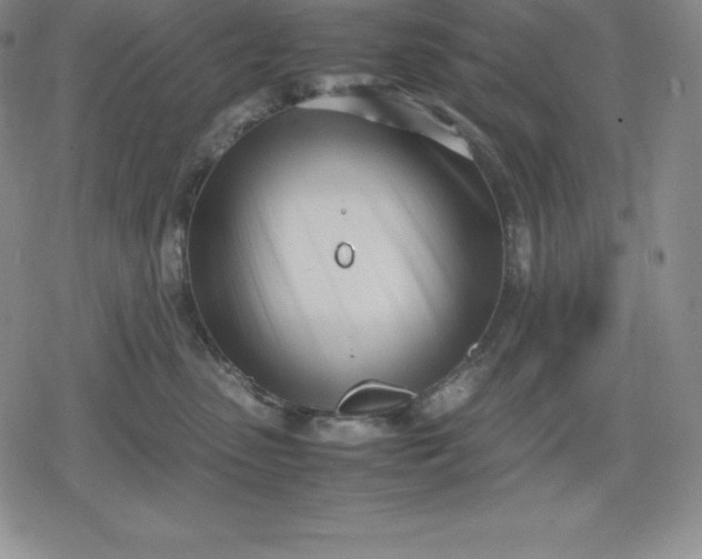 X0000080170475200612221255