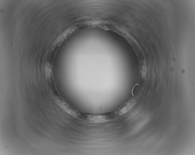 X0000080170476200612221255