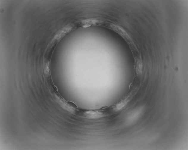 X0000080170477200612221255