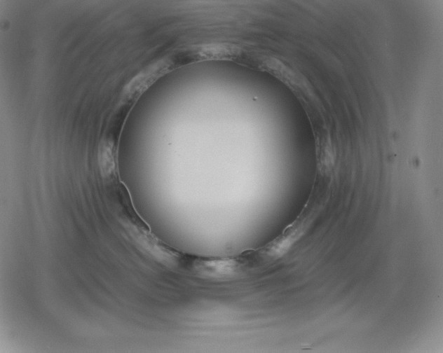 X0000080170478200612221255