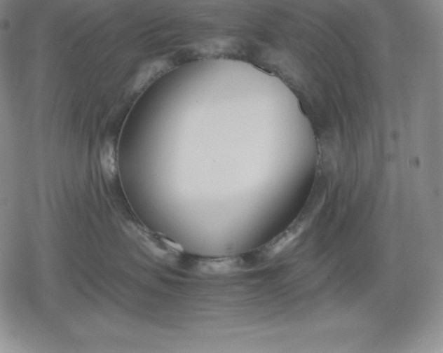 X0000080170479200612221255