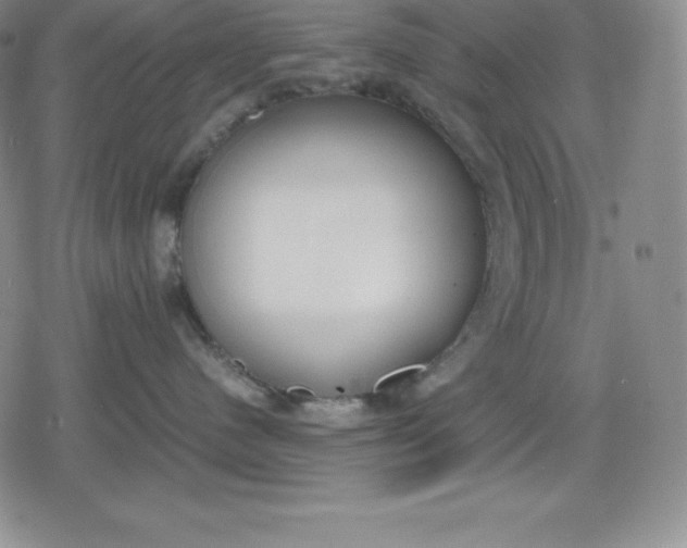 X0000080170480200612221255