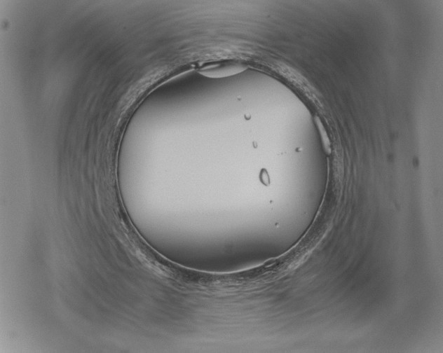 X0000080170481200612221254