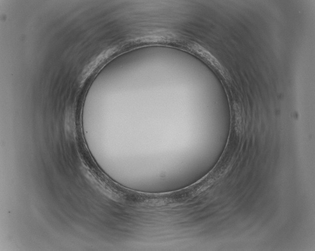 X0000080170482200612221254