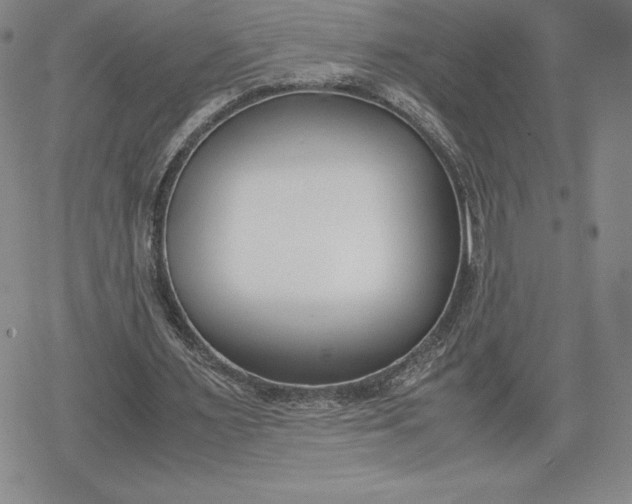 X0000080170483200612221254