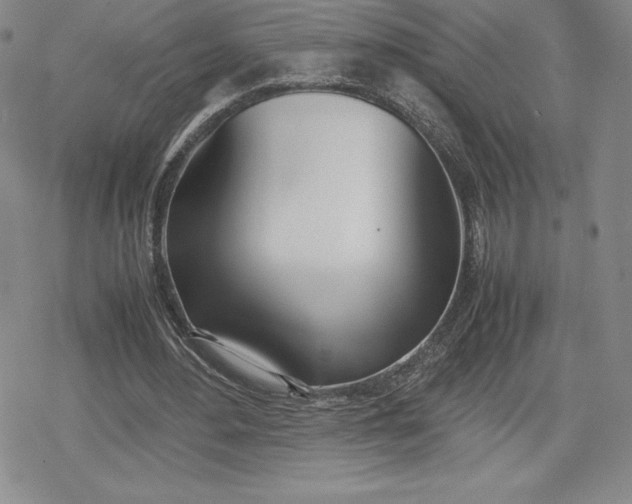 X0000080170484200612221254