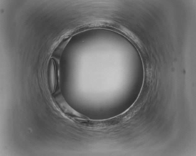 X0000080170485200612221254