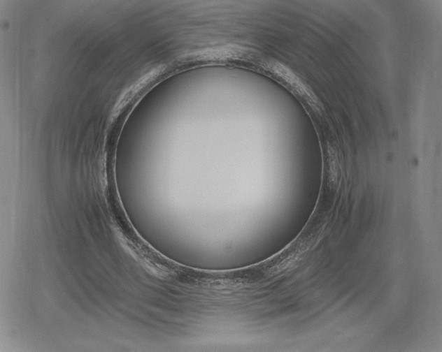 X0000080170486200612221254