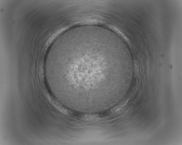 X0000080170487200612221254