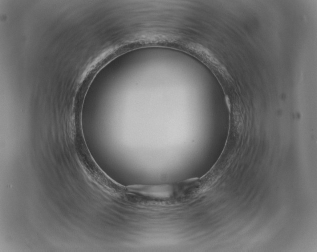 X0000080170488200612221254