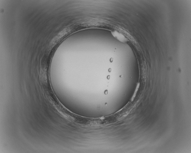 X0000080170489200612221254